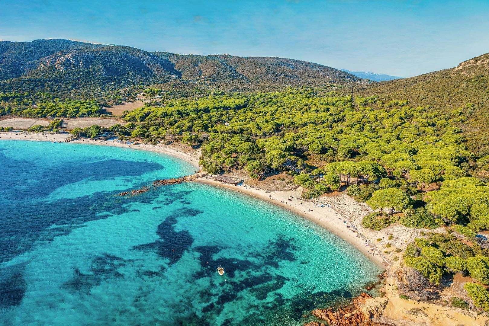 Crique aux eaux turquoise bordée de pins dans la région de Porto-Vecchio