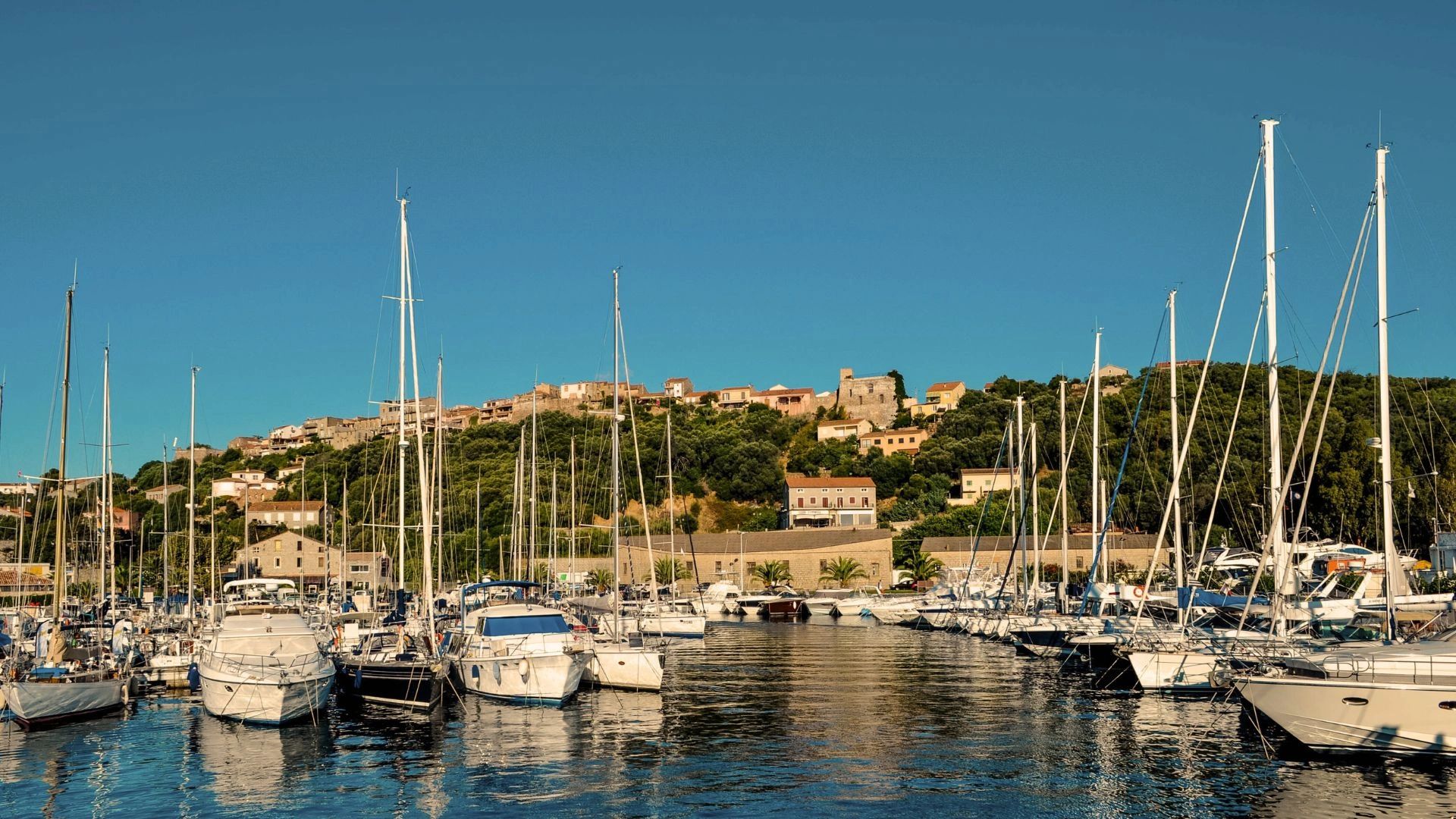 Port de plaisance en Corse du Sud avec voiliers amarrés et collines en arrière-plan 