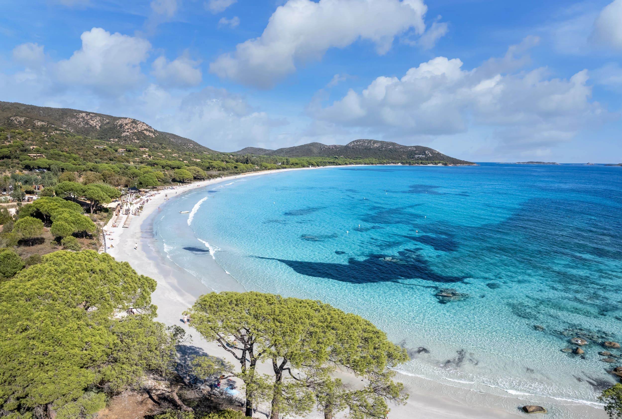 Plage de sable blanc bordée de pins avec mer turquoise en Corse du Sud