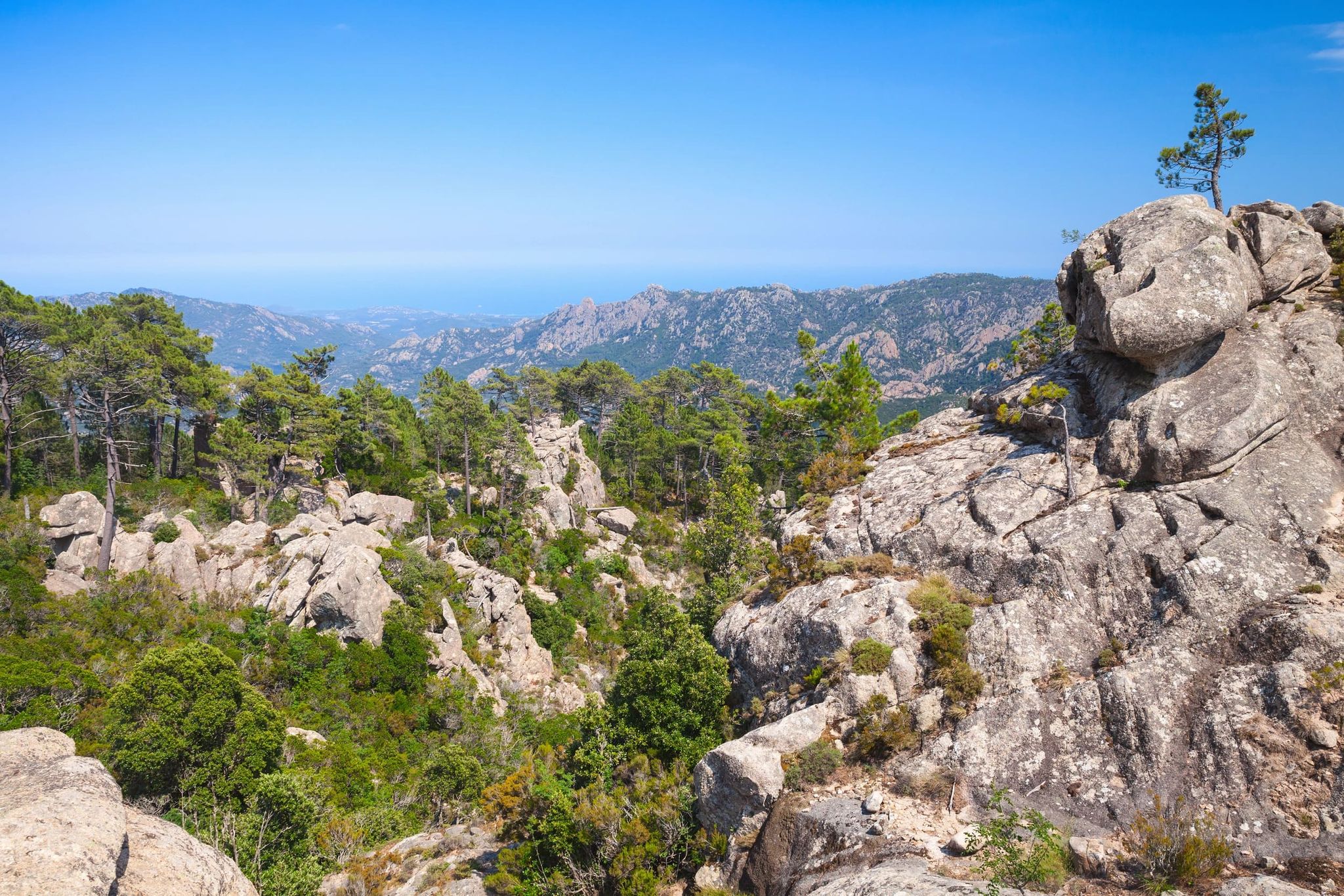 Paysage rocheux avec vue sur les montagnes et la végétation de l’intérieur de la Corse
