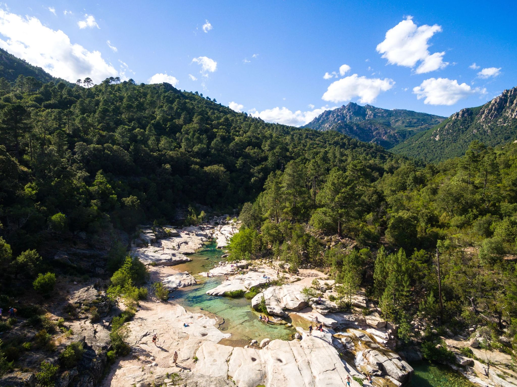Vallée verdoyante de l’intérieur de la Corse avec rivière et montagnes en arrière-plan