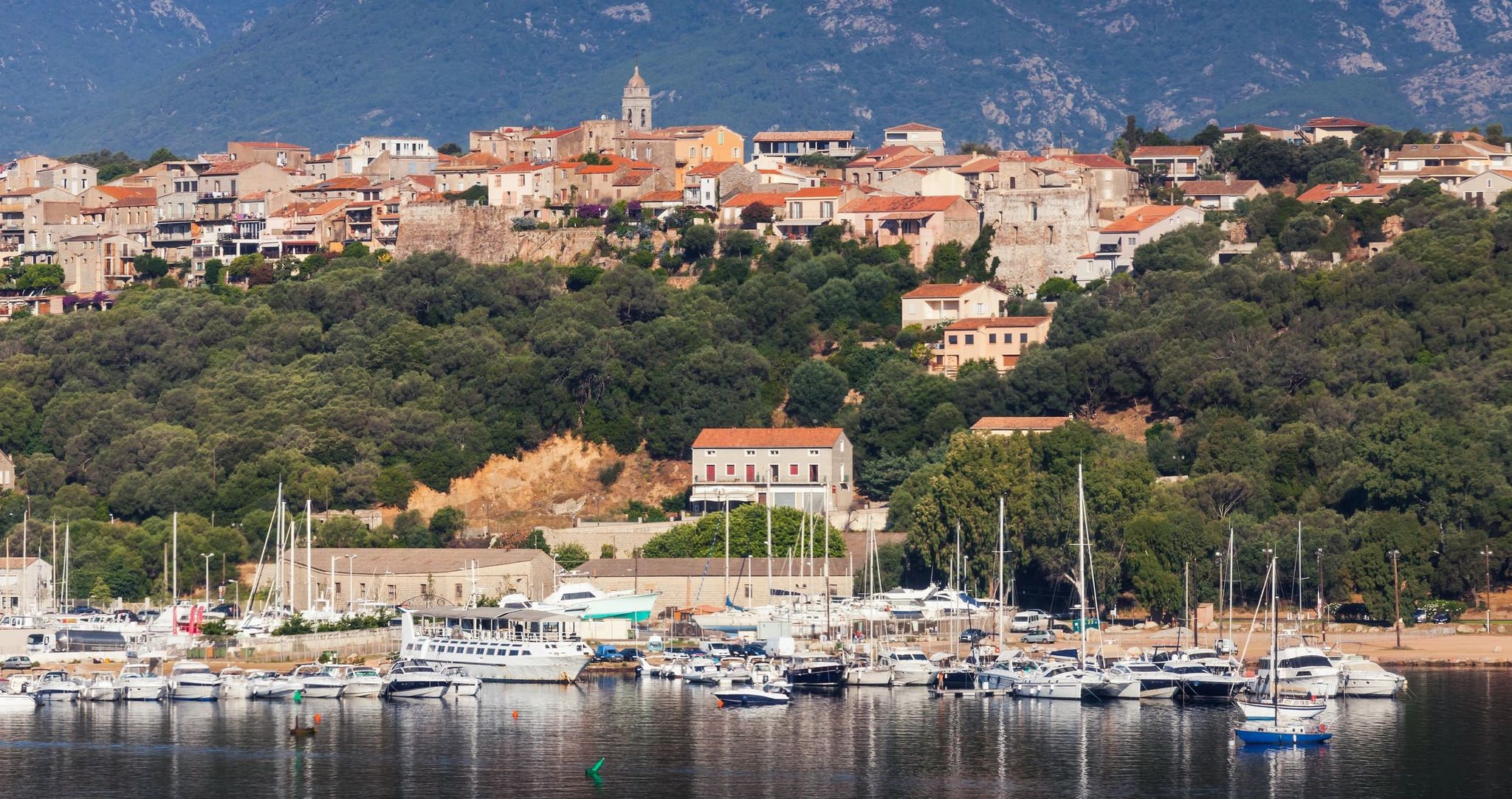 Marina bordée de maisons avec collines verdoyantes en arrière-plan